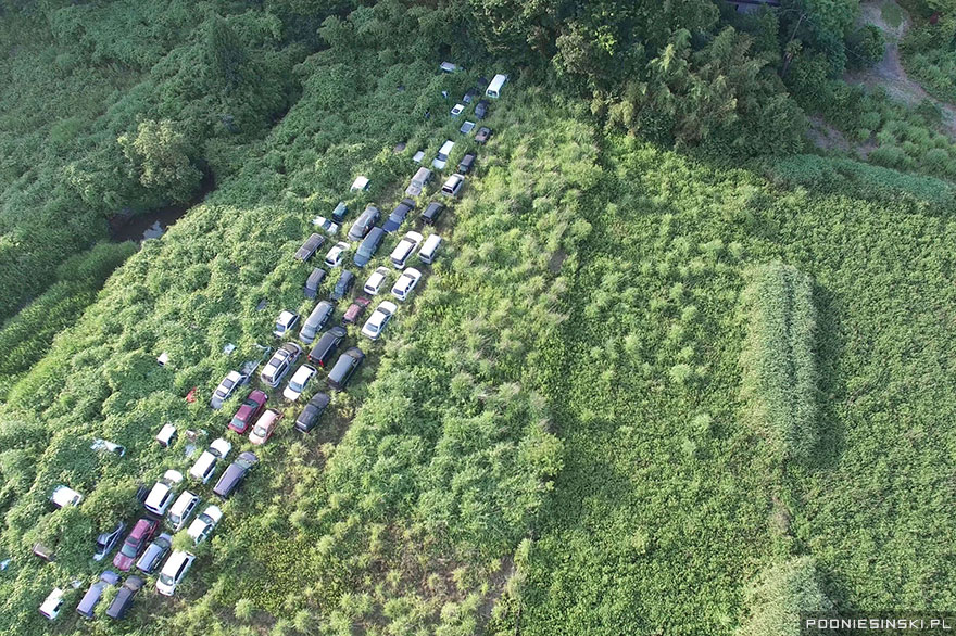 1-Abandoned vehicles are slowly swallowed up by nature on a stretch of road near the power plant