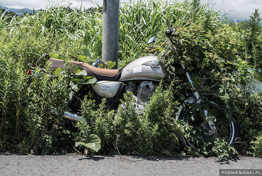 4-A chained-up motorcycle is slowly absorbed into the field