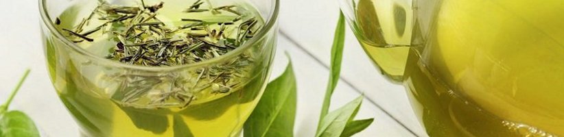 ۱۲ خاصیت شگفت‌آور چای سبز که آن را از نوشیدنی‌های دیگر متمایز می‌کند