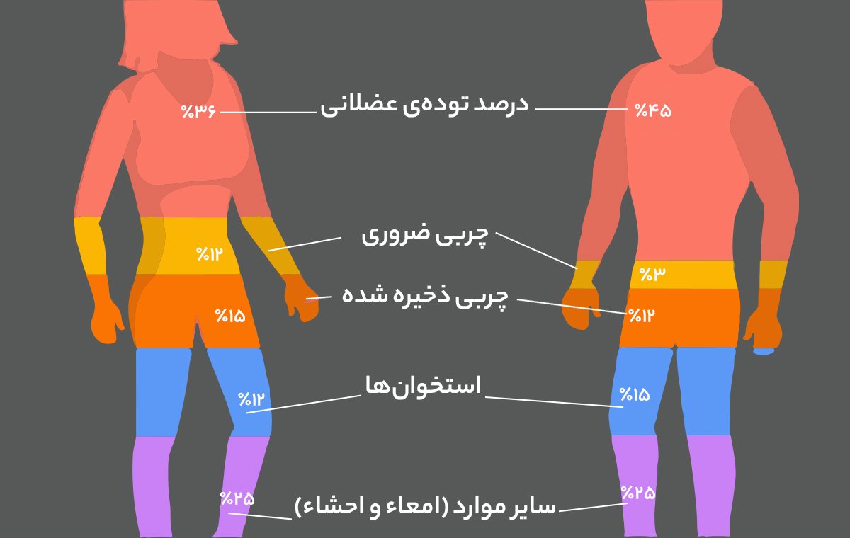 ترکیب بدنی ایده‌آل