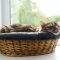 بررسی 10 جای خواب گربه پرطرفدار در دیجی‌کالا