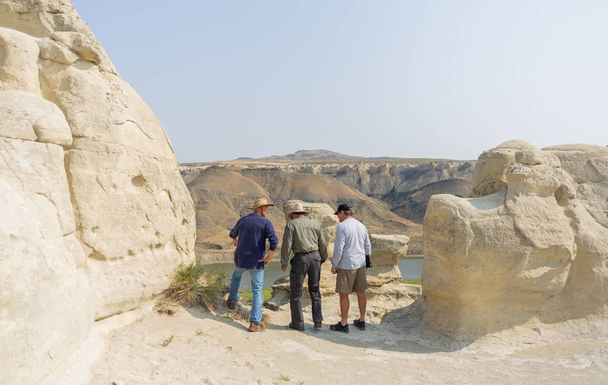 سفر با راهنمای تور