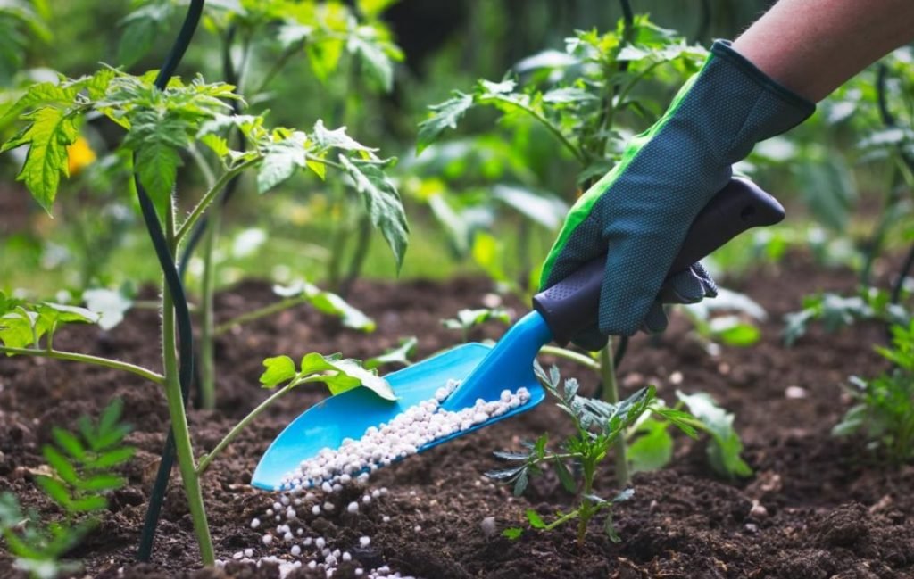 محافظت در برابر سرما: لباس گرم برای گیاهان