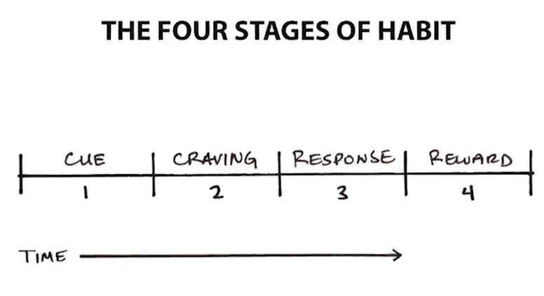 چهار مرحله عادت